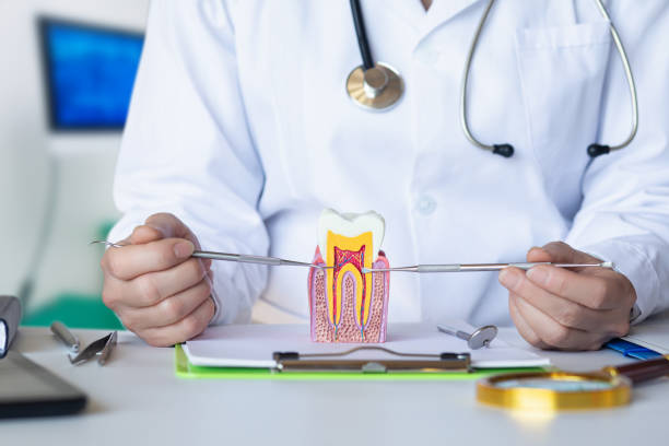 Best Emergency Treatment for Toothache in St Cloud, MN